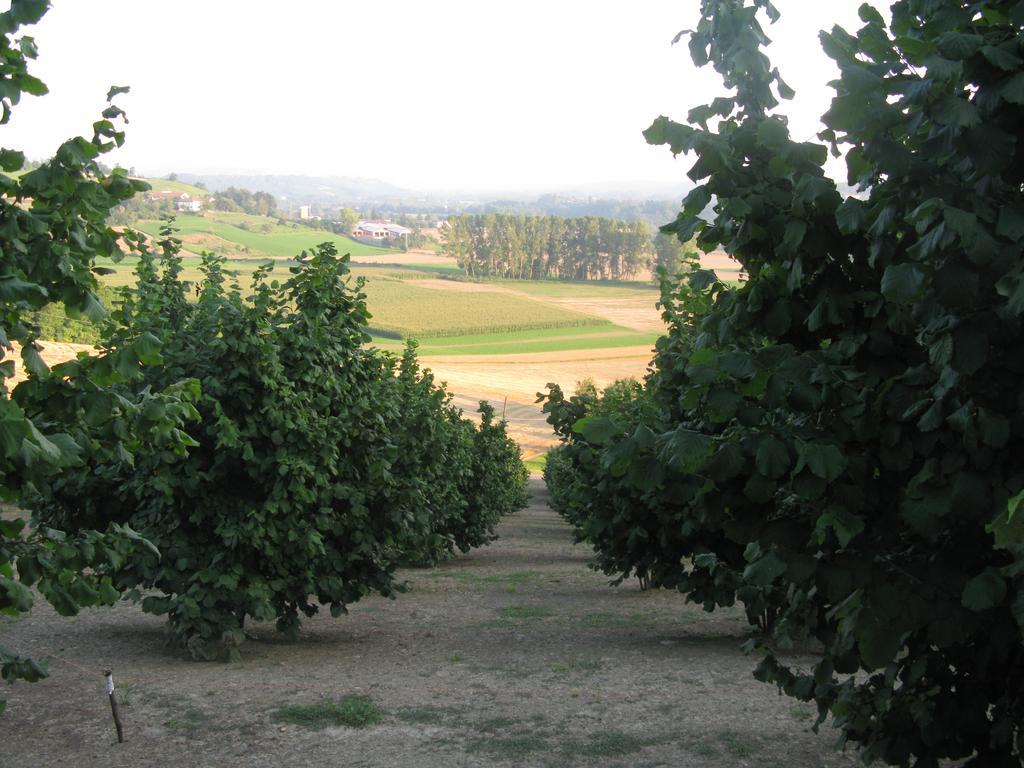 La Locanda Del Nocciolo Novello Exterior foto
